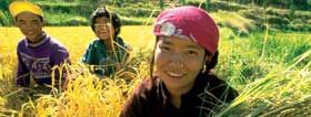 IFAD: Investing in young rural people for sustainable and equitable development